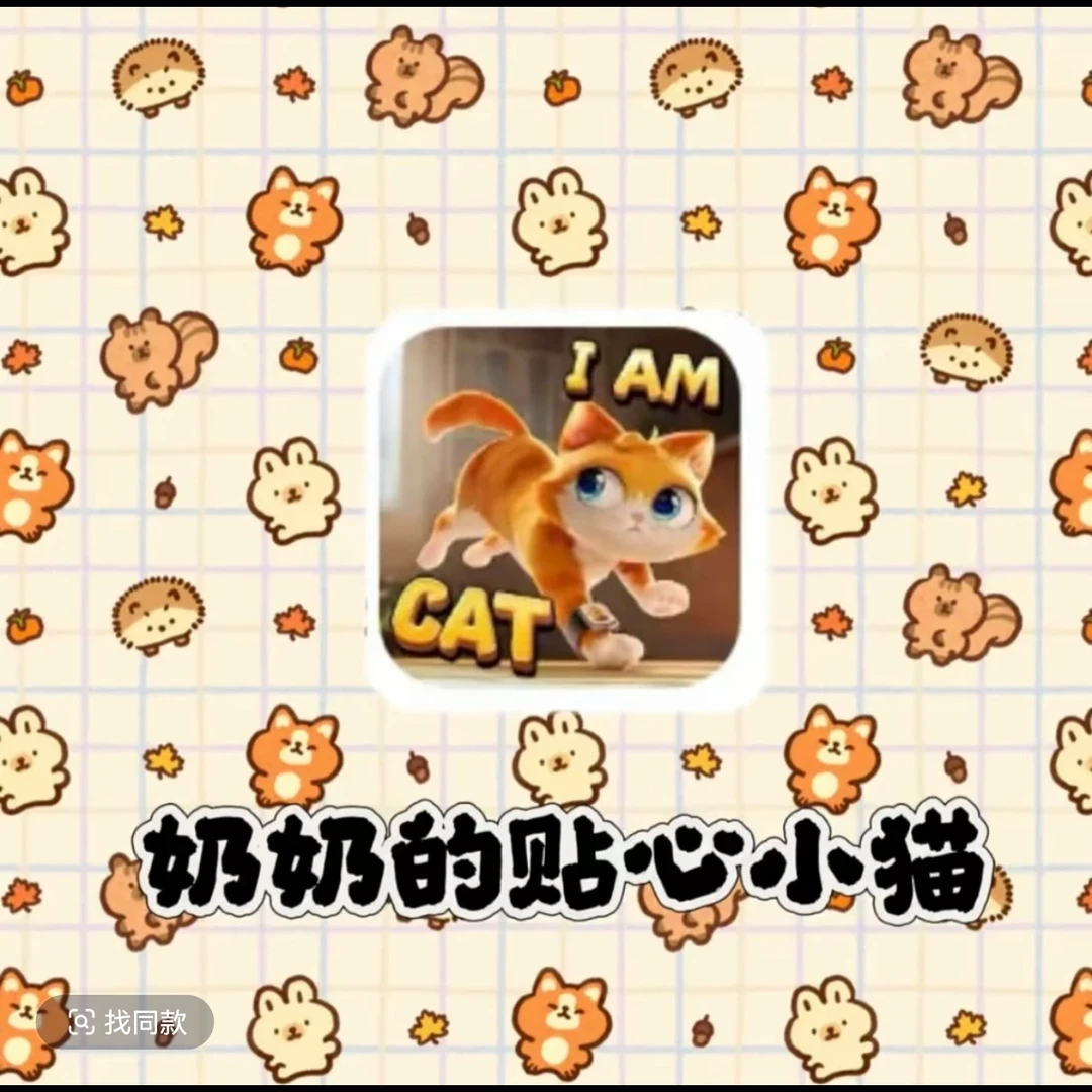 小猫咪奶奶的贴心定制贴纸贴画