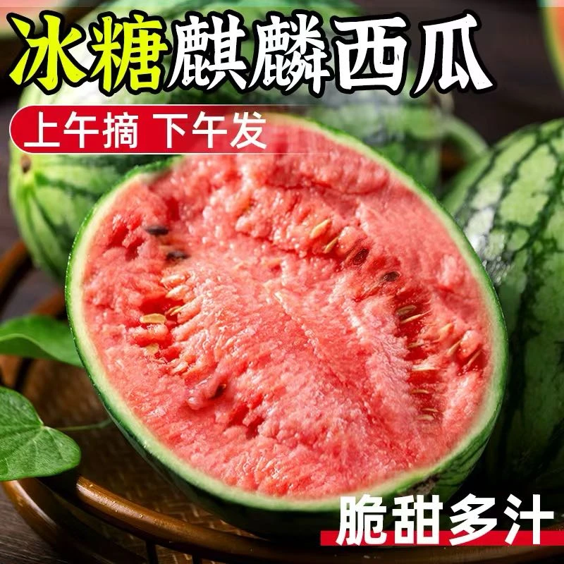 【达人专享】夏邑麒麟西瓜当季新鲜水果薄皮脆甜红瓤多汁沙瓤甜瓜