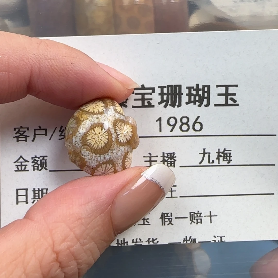 硅化珊瑚（珊瑚玉）未镶嵌颈饰