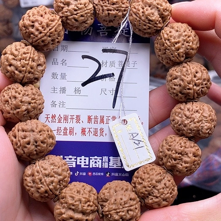 手串金刚菩提21铁骨双龙