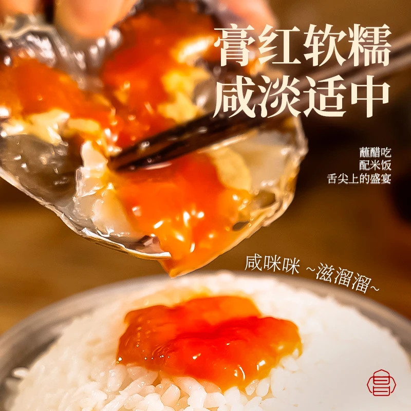 Q 舟山宁波特产红膏飞机呛蟹新鲜腌制开袋即食酱母蟹
