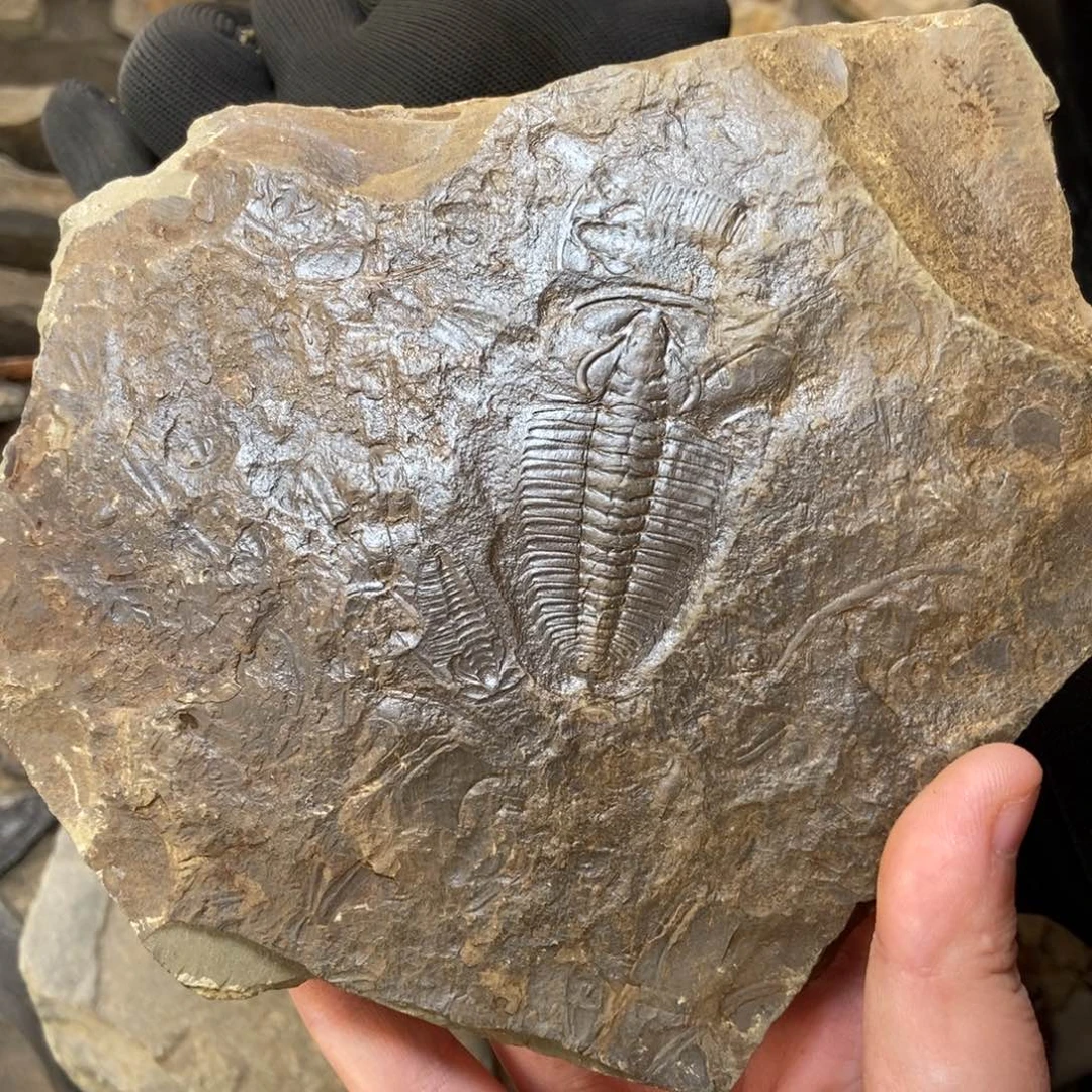 红***克石材11111111111111