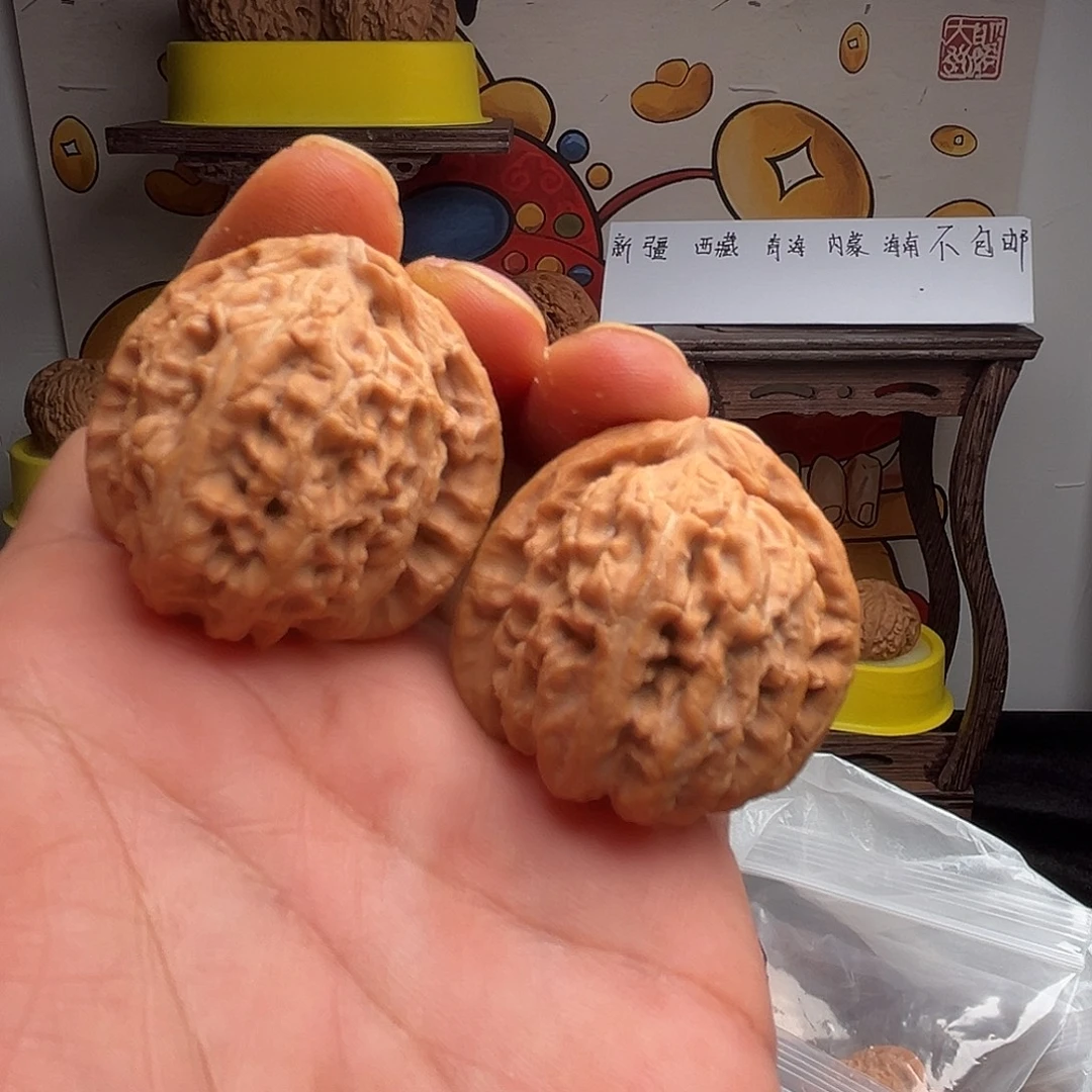 张老三的核桃白狮子2号37尺
