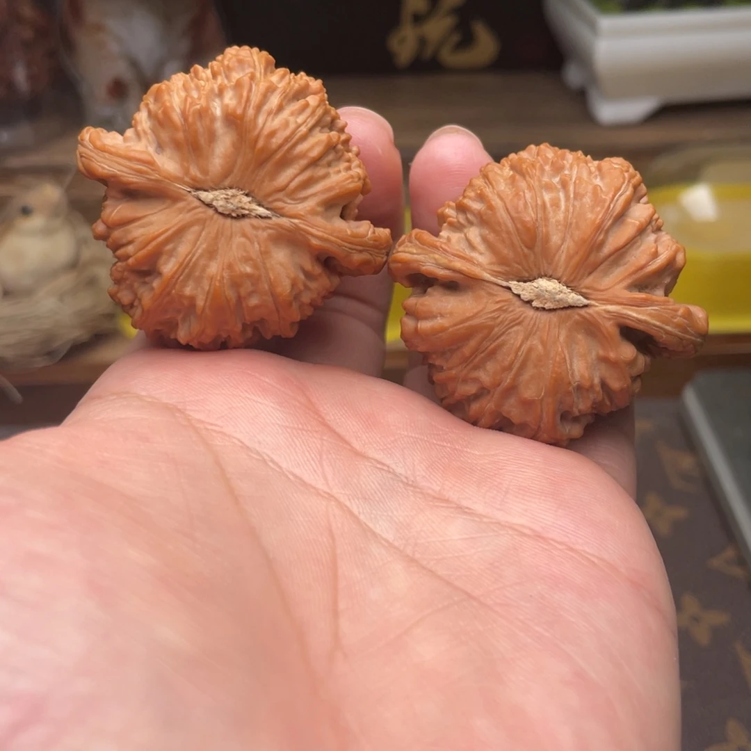 文玩核桃把件G1号45白狮子