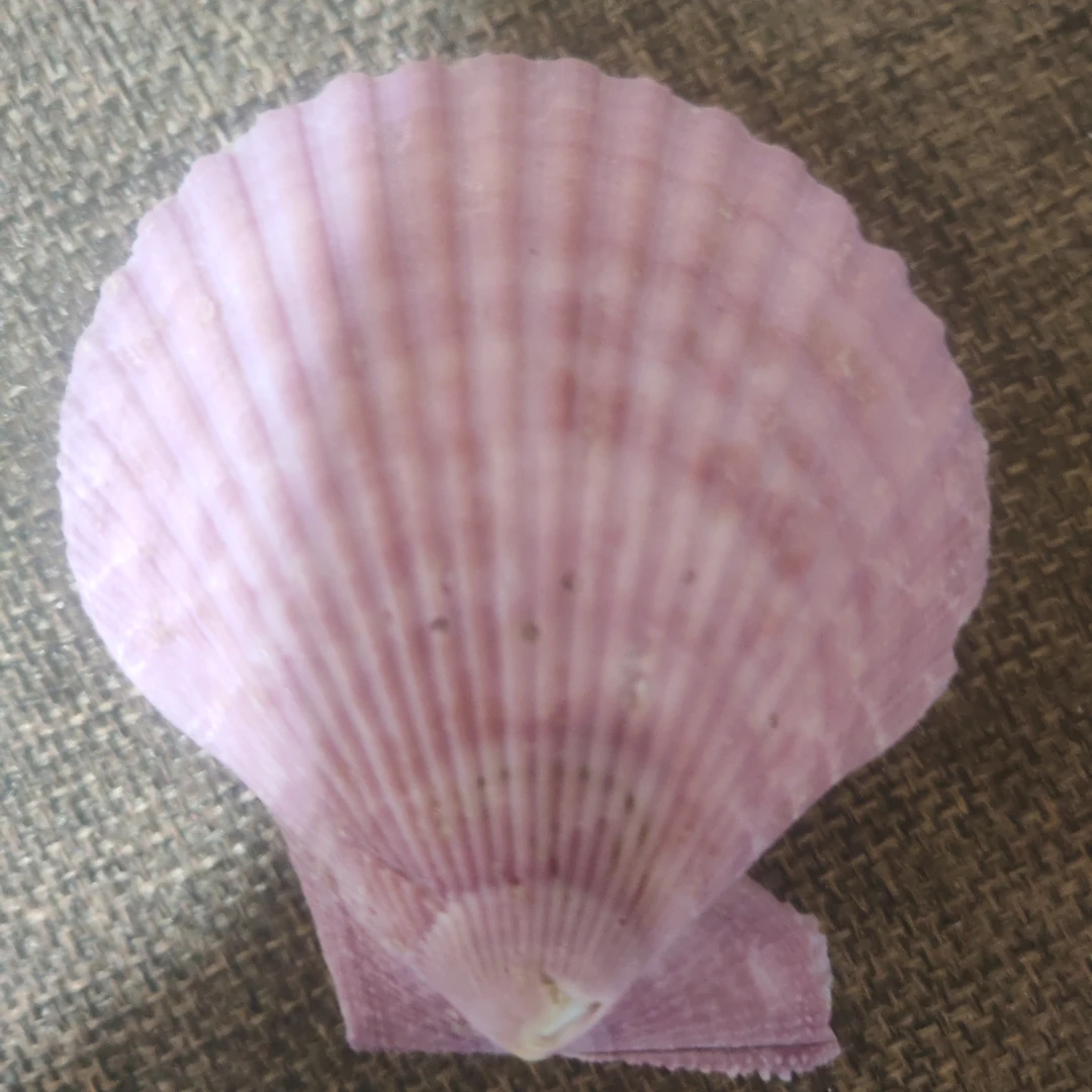 客厅办公室桌面装饰石头精美摆件