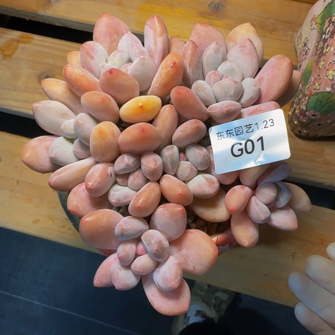 g g g g g g g g g g 1