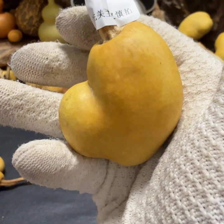 ****೨66666666666666666