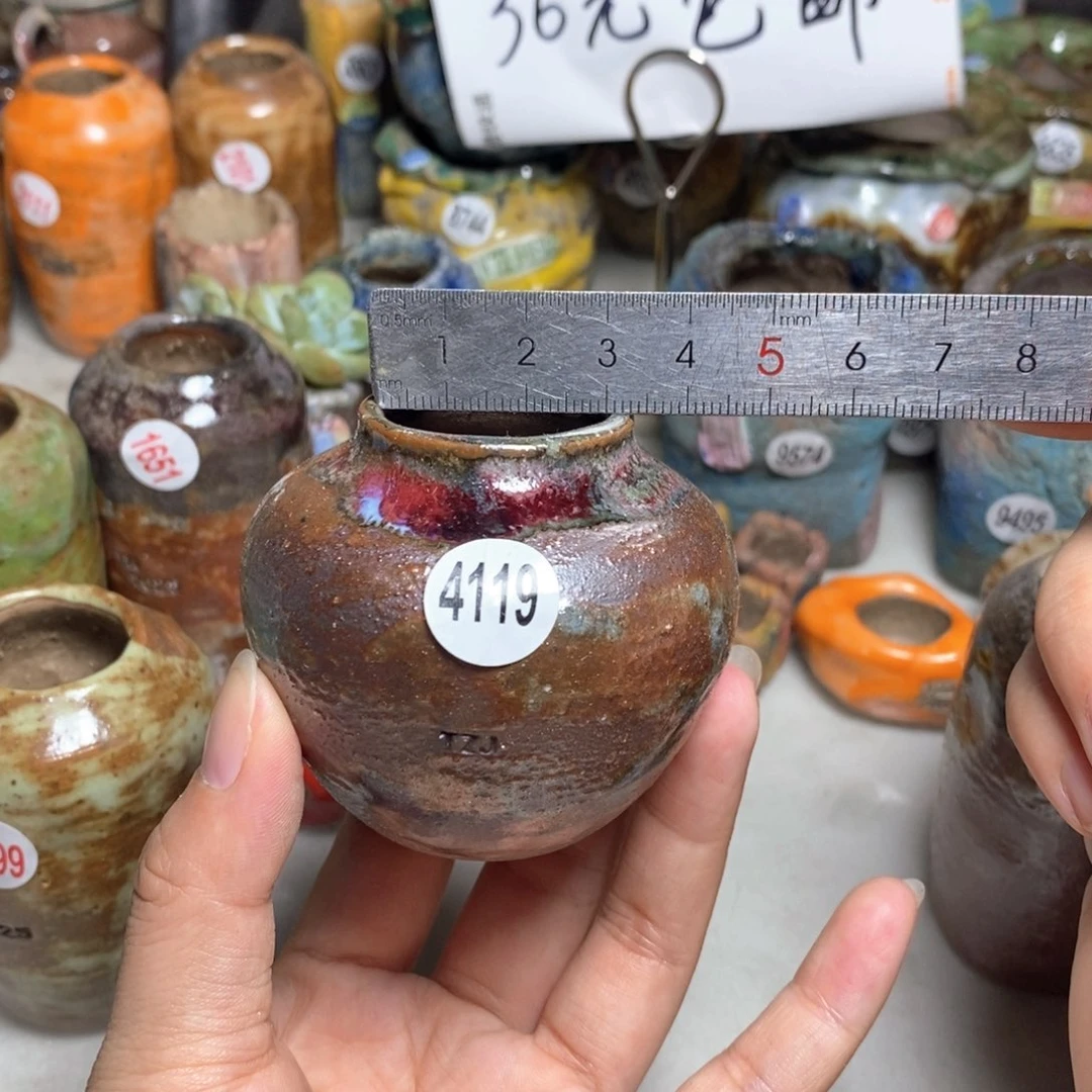 拍5送一个小礼物