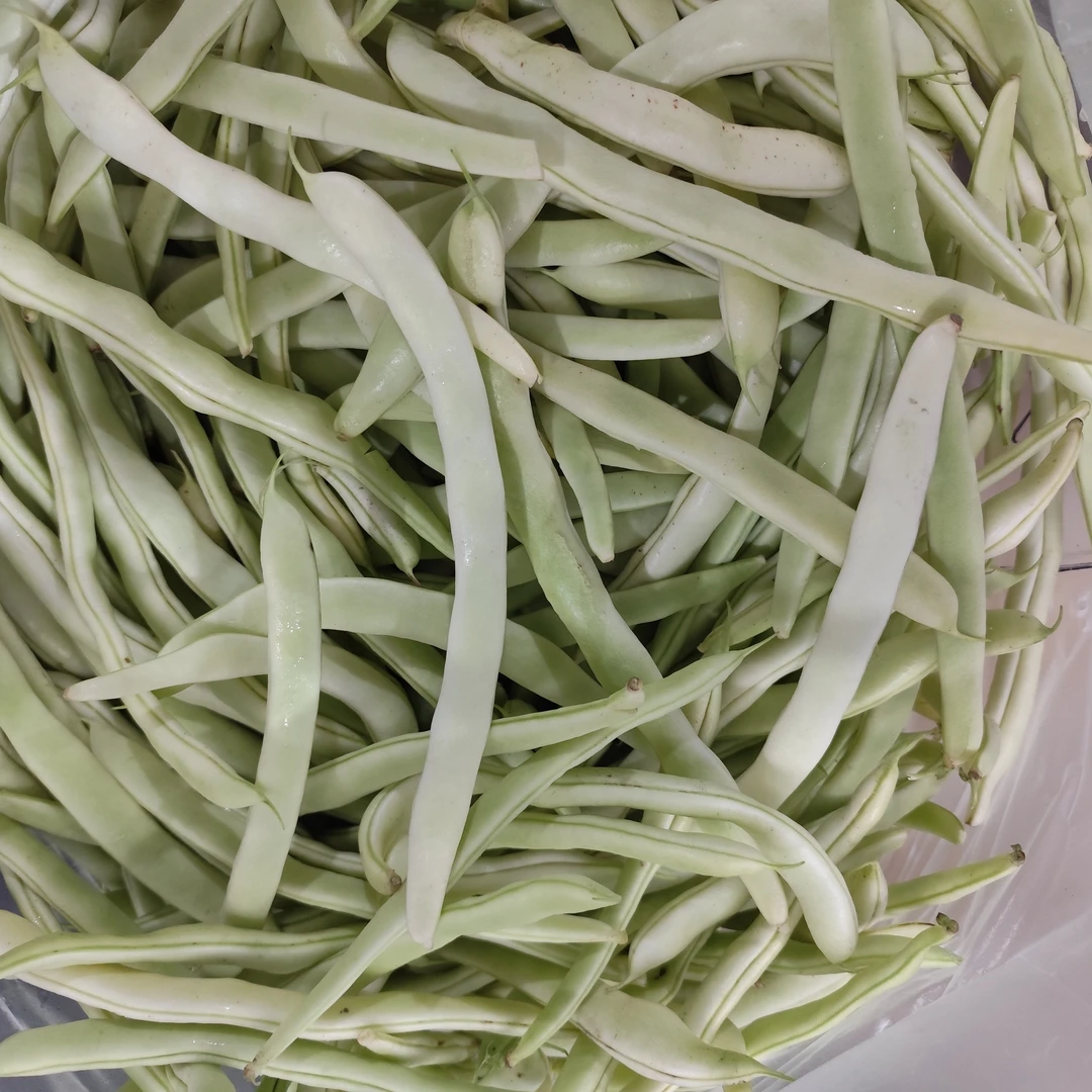 【新疆次日达发京东】白不老豆角