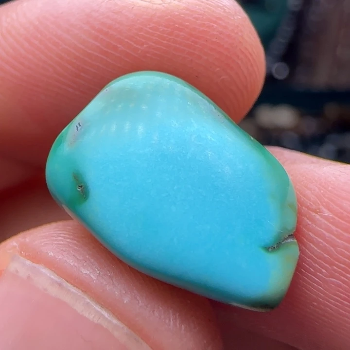 无非金属chgjjgcjcjjvjvvj