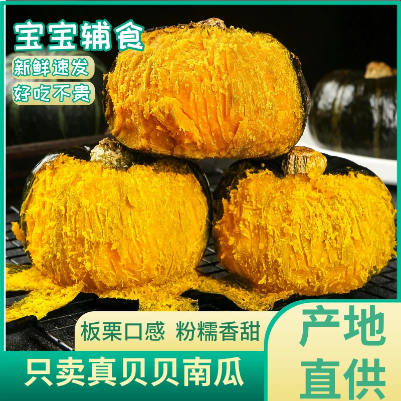正宗贝贝南瓜粉糯香甜板栗味产新疆地直发可作宝宝辅食