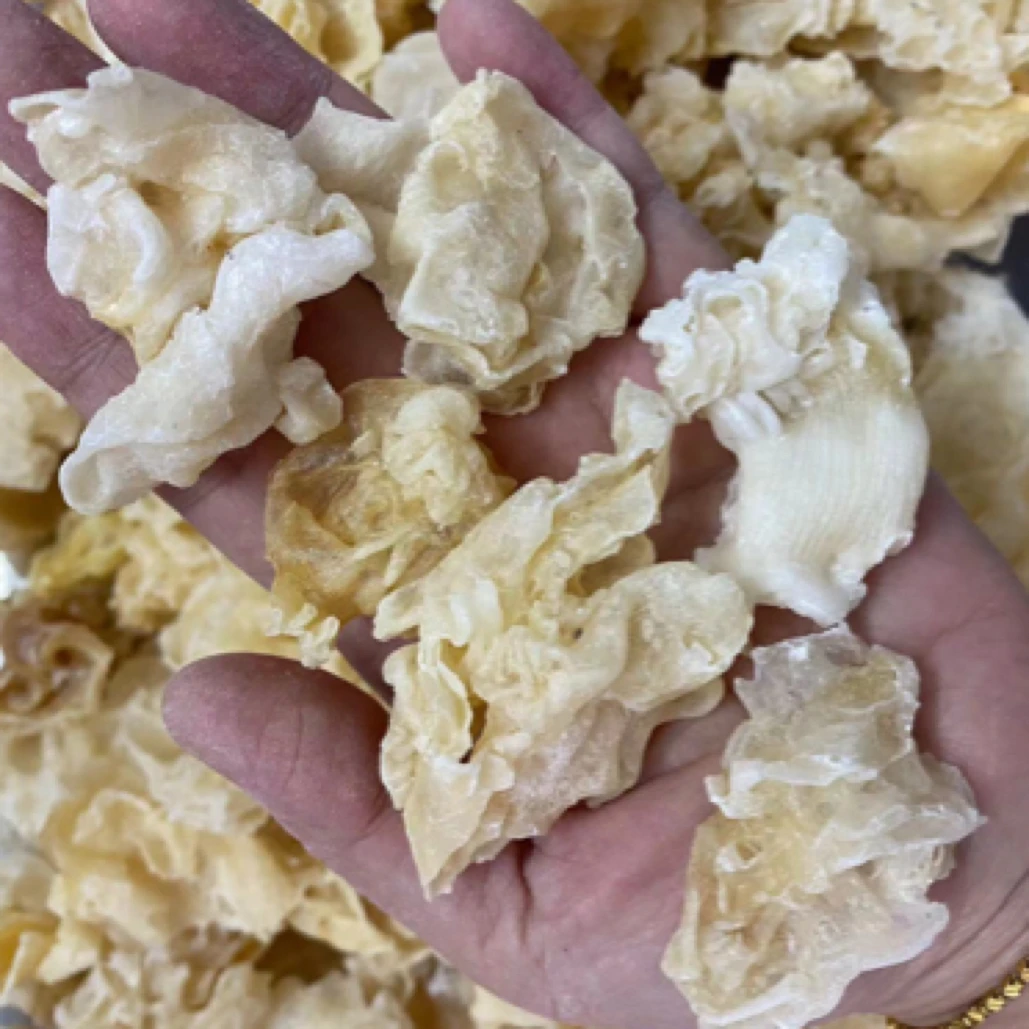 珍珠胶不加料 深海鱼肚鱼胶花胶厚肉 孩子老人孕妈月子 炖奶煲汤