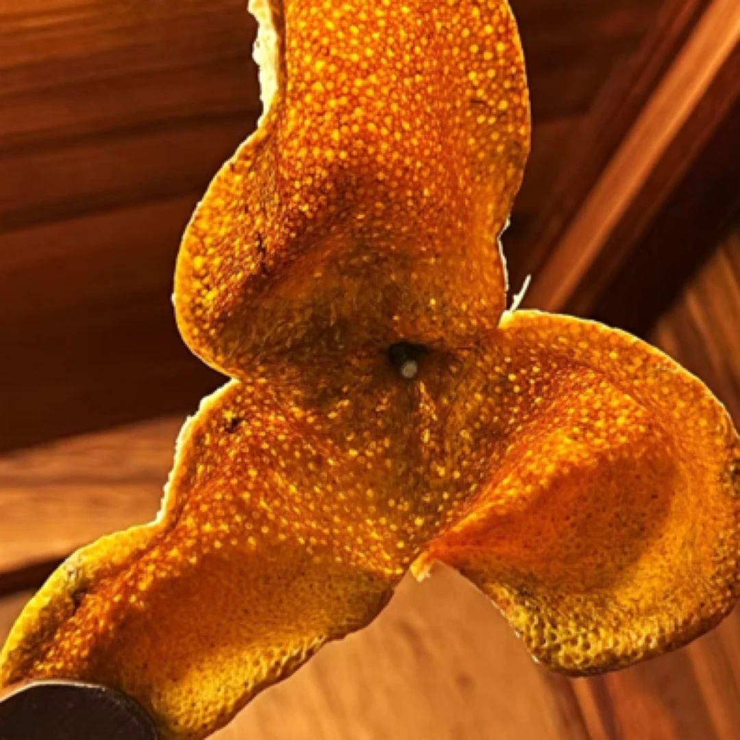 【2025年12月10日】梅江圈枝大红