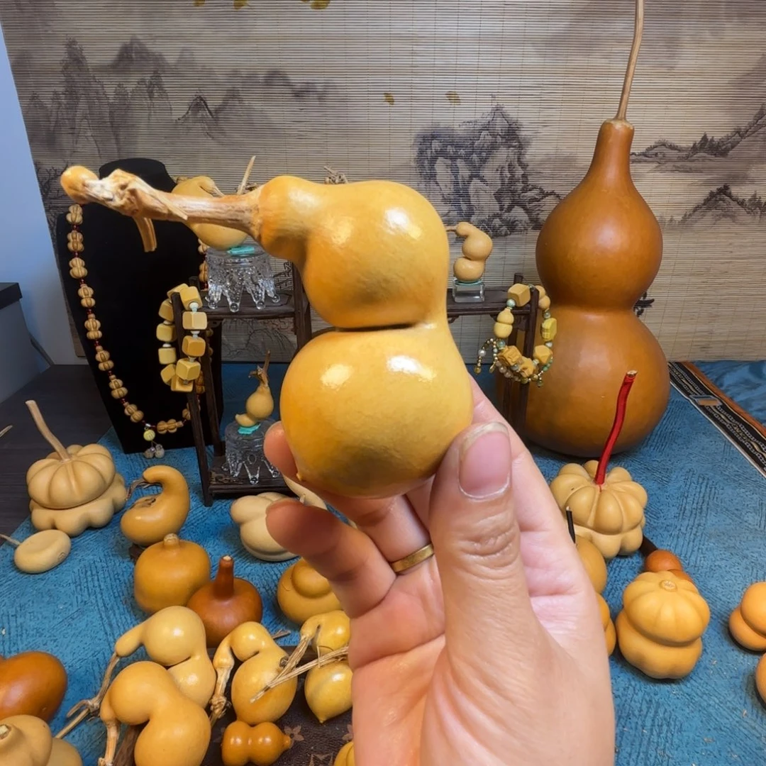 有***)精品蚂蚁嘎嘎漂亮哦