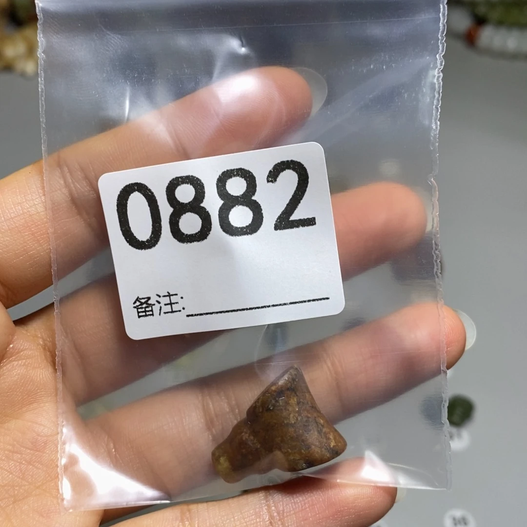 颈饰未镶嵌透闪石质玉焕***化