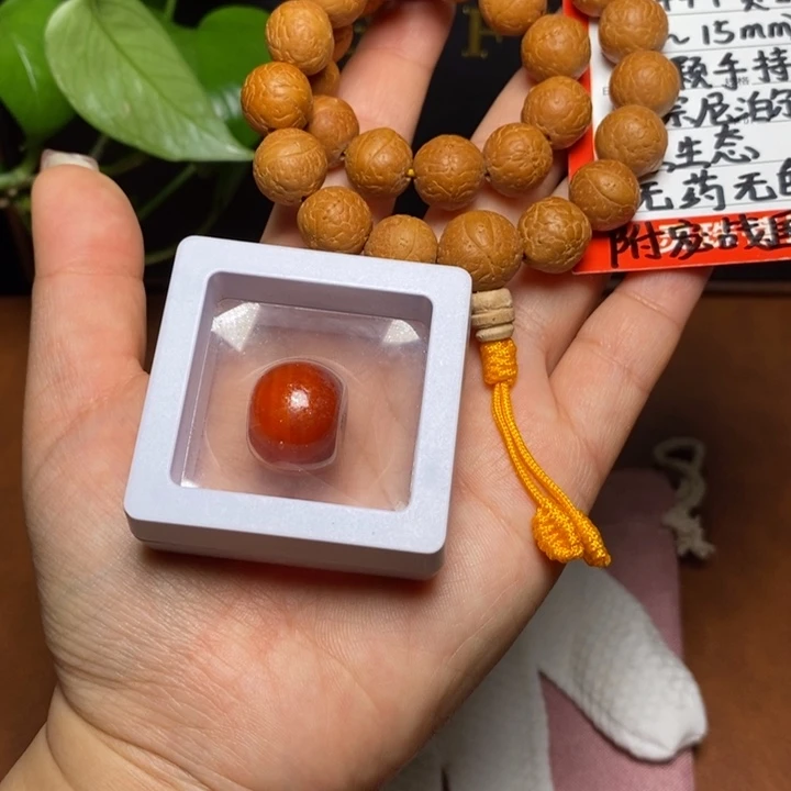 手串凤眼菩提尼泊尔