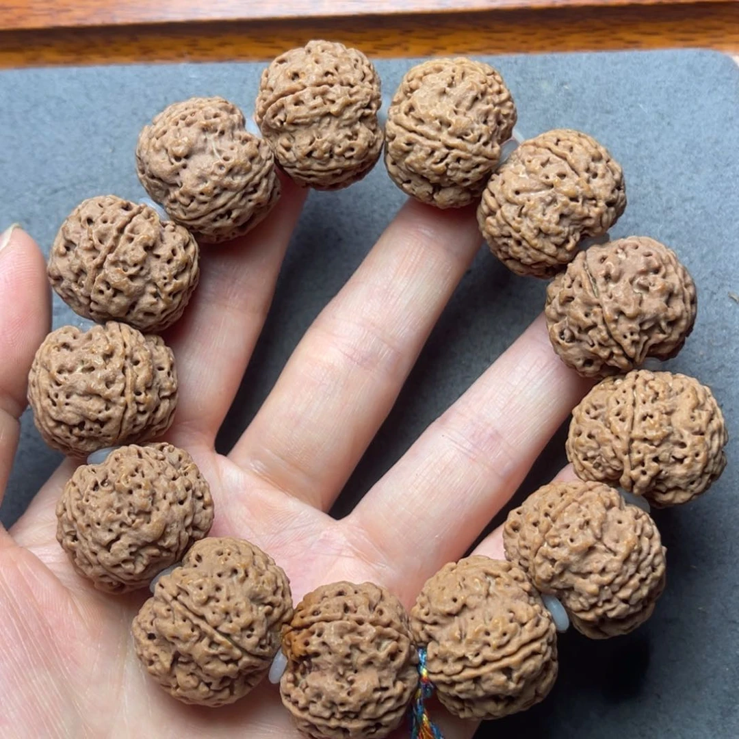 菩提19号金刚菩提梅花蜂窝23