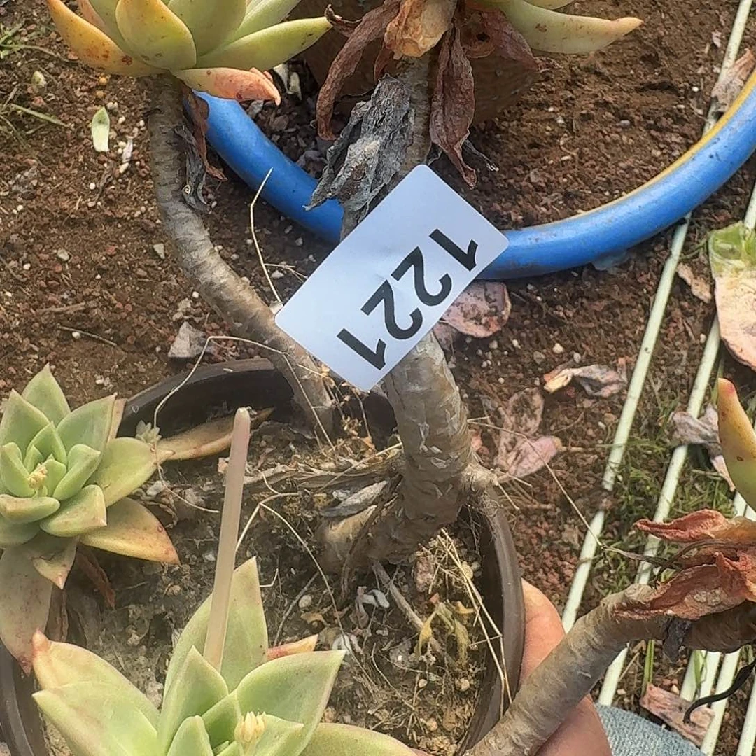 ?****#313646464646464644