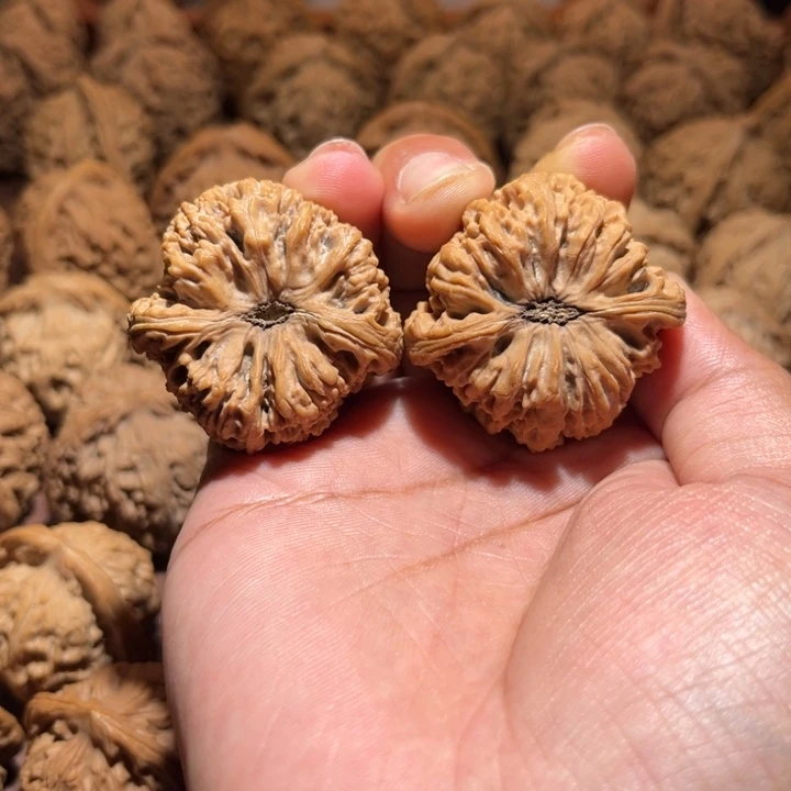 A***C核桃手串/手链高炮三角疆39尺寸