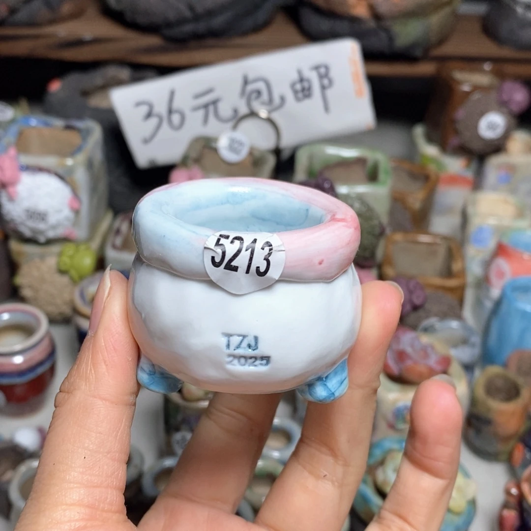 拍3送一个小礼物