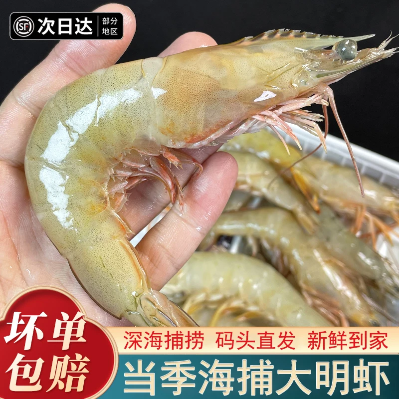 博贺港纯野生明虾海捕白对虾超低温急冻顺丰包邮