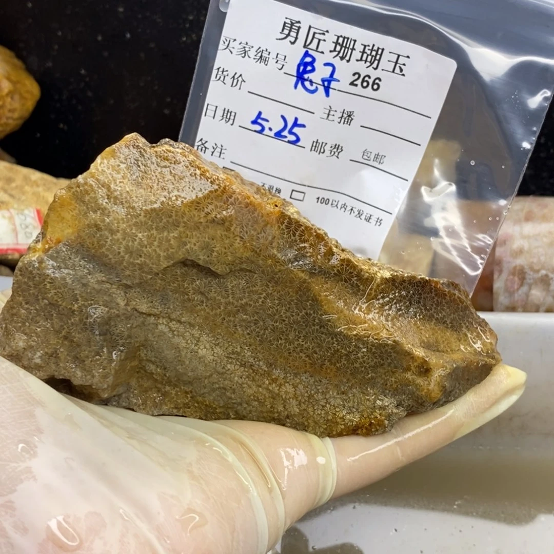 【闪购商品】硅化玉颈饰未镶嵌兔*