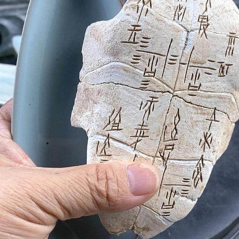 【闪购商品】陶瓷不*器陶瓷艺术品展示