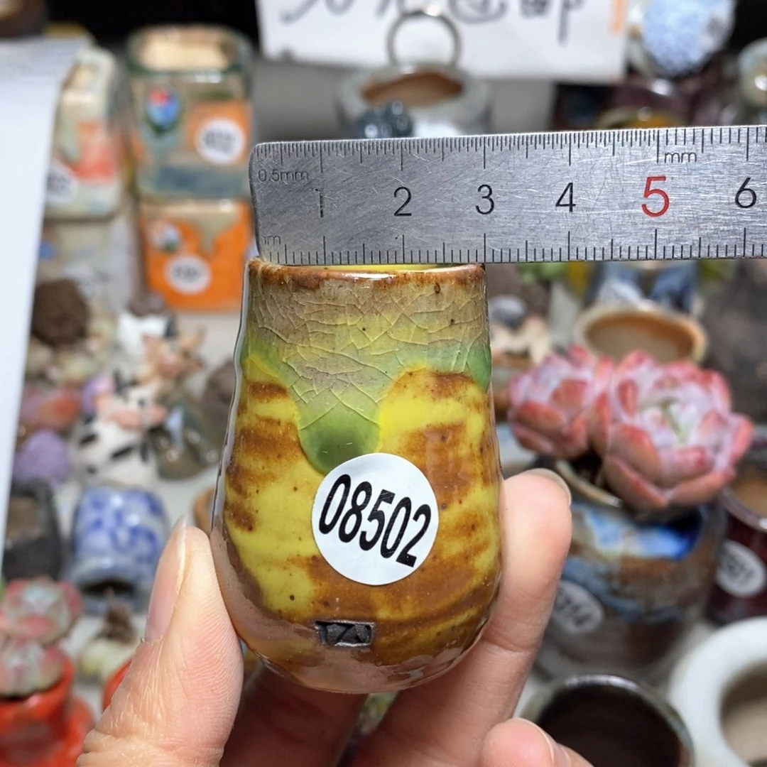 花盆，拍5送一个小礼物