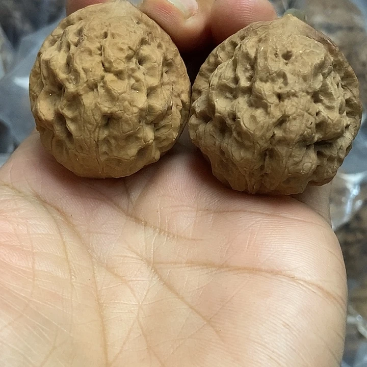 文玩核桃把件云南铁核桃基地7