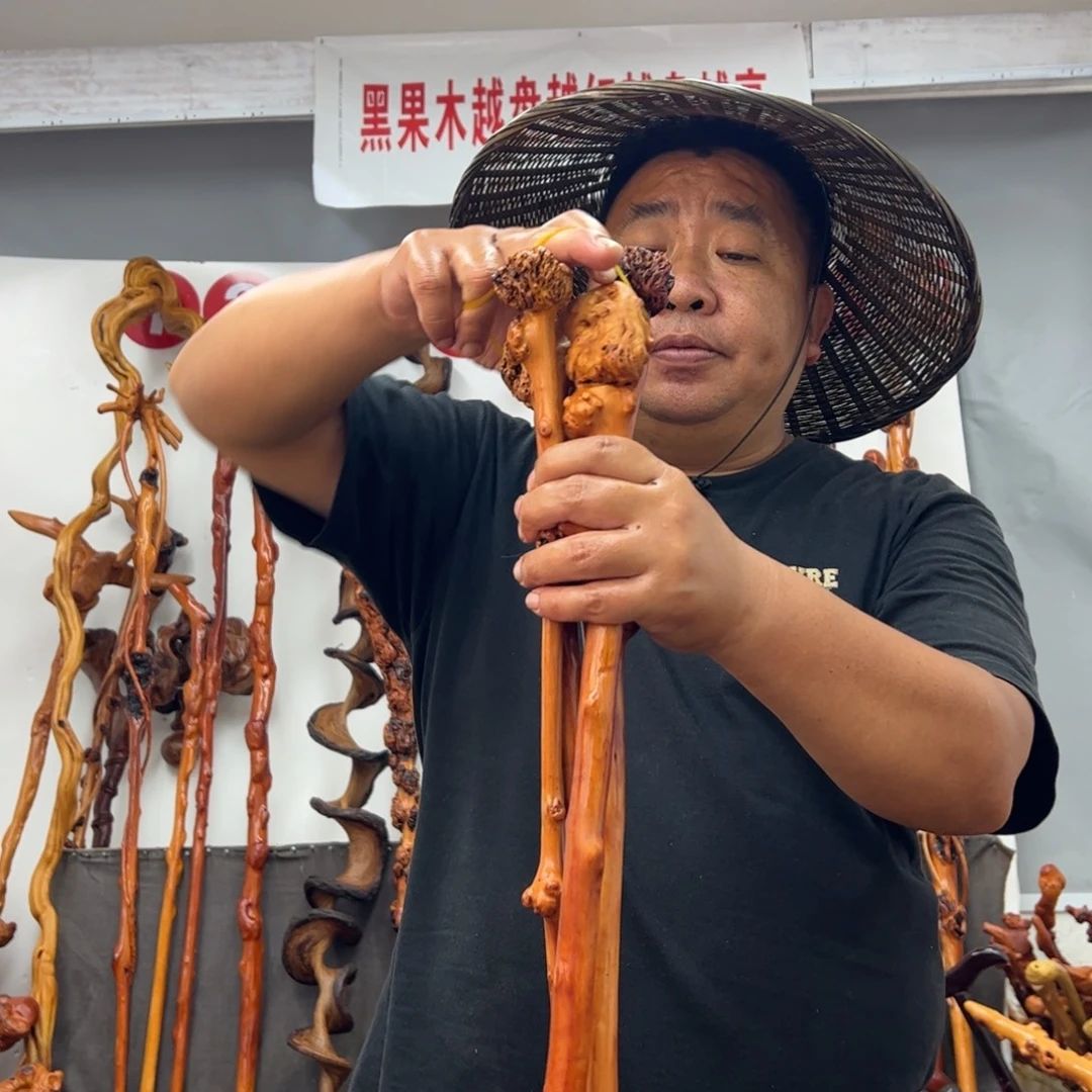 其他黑果木黑果木847