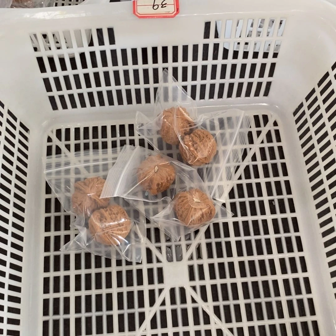 文玩核桃吊坠打底白狮子团购