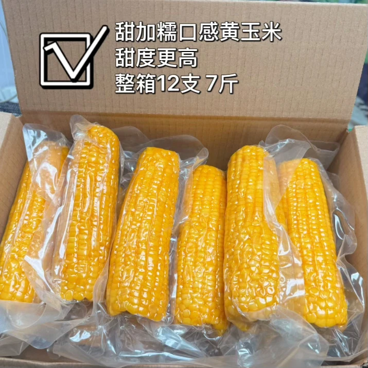 整箱7斤12支东北黄糯玉米 甜加糯口感 软糯香粘 真空锁鲜