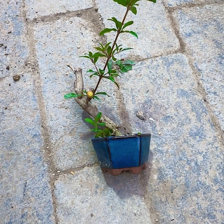 b*mt h j k l人体健康乐乐