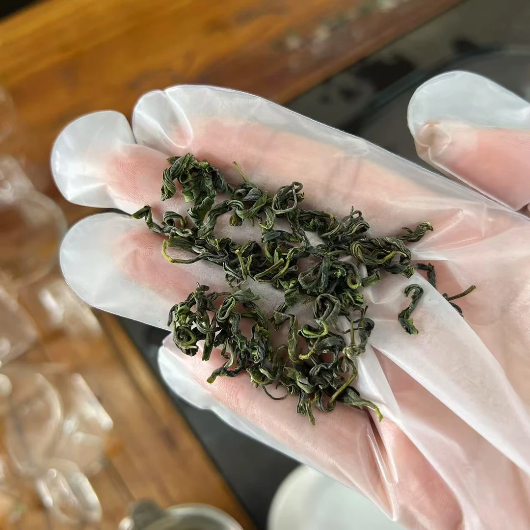 雲松山日照绿茶五月中旬一细茶叶高香型豆香板栗香