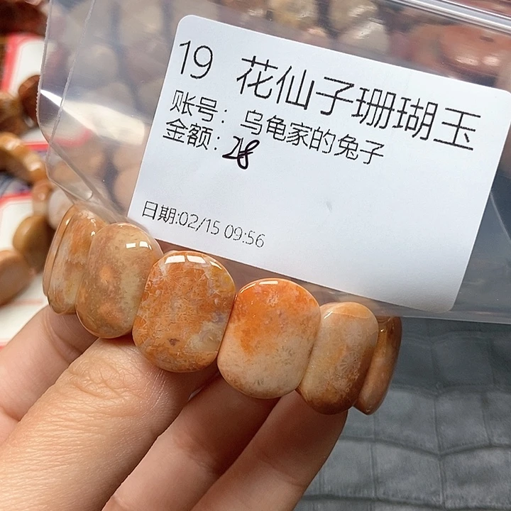 硅化珊瑚（珊瑚玉）手镯未镶嵌乌****子19