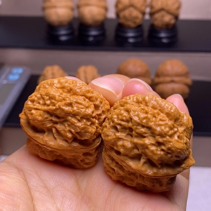 文玩核桃把件霸王龙脊22