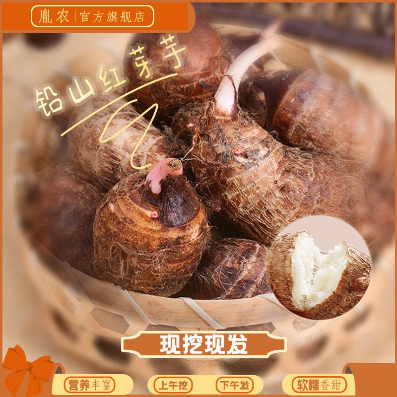 正宗江西铅山红芽芋口感粉糯农家自种精选小芋毛芋牛奶芋头包邮