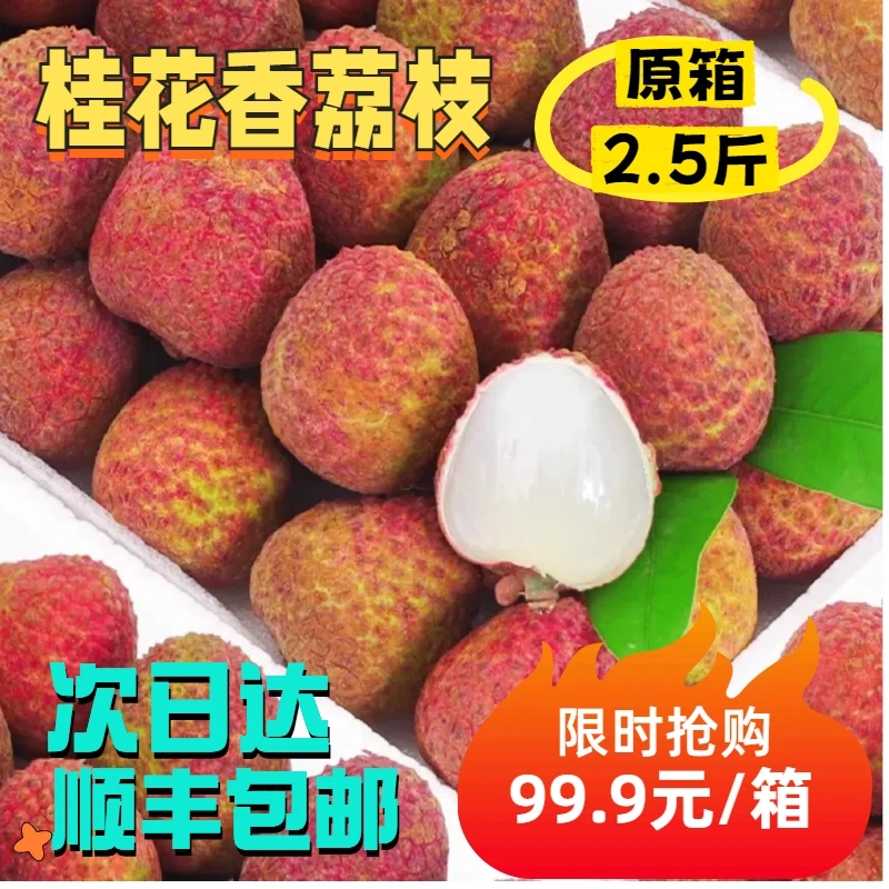 【顺丰次日达】净重 2.5斤桂花香荔枝当季水果现摘整箱浙江省