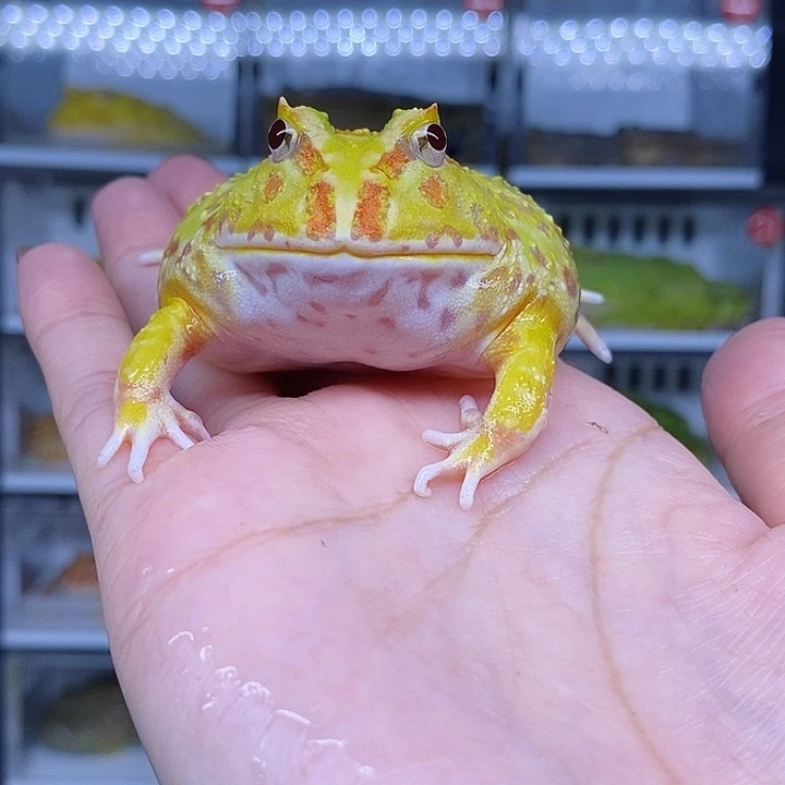 特价秒杀现货特价