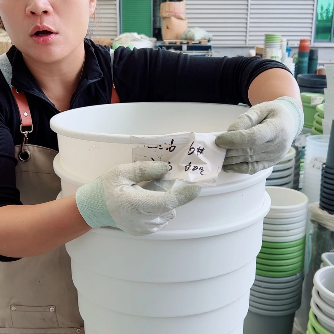 多孔6#白色3个无托