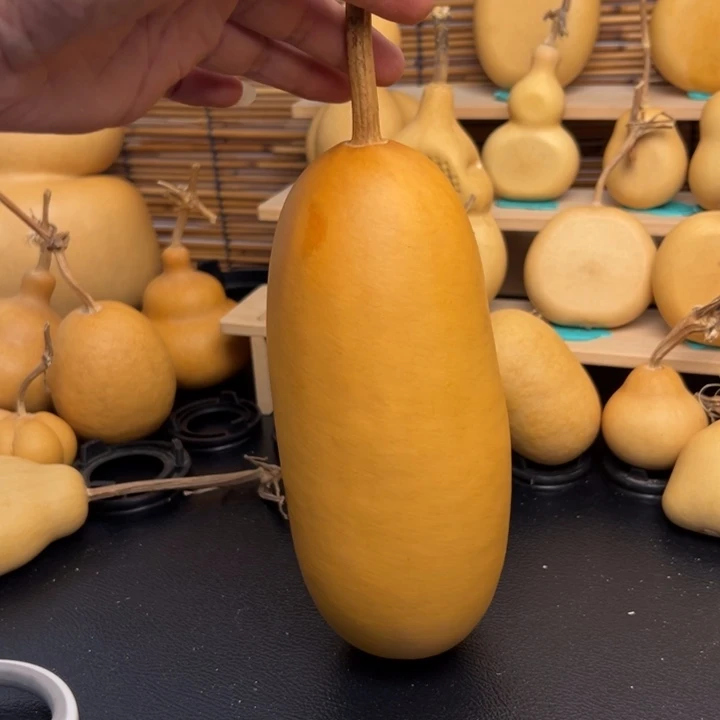 冰****y556669999989999