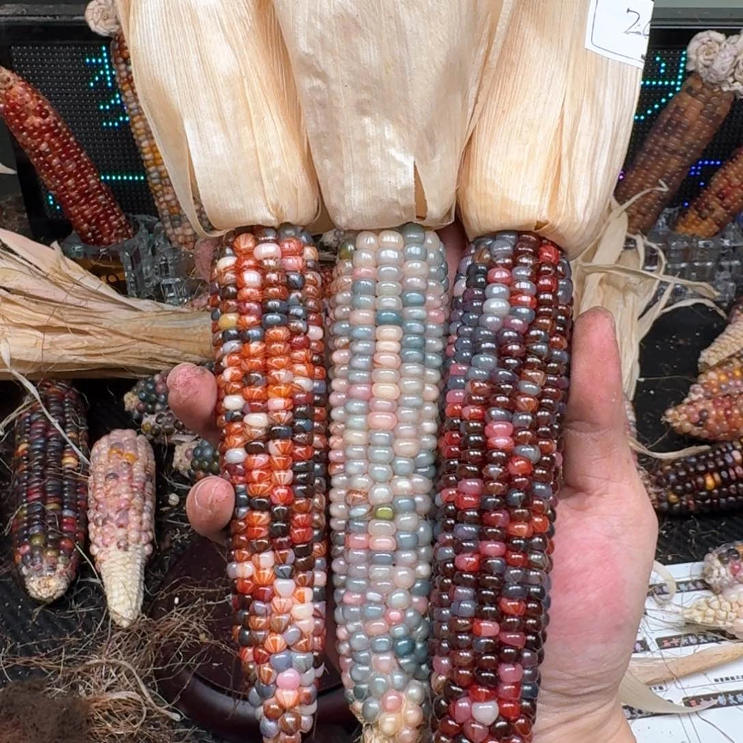 柏香籽/百香籽吊坠世****?