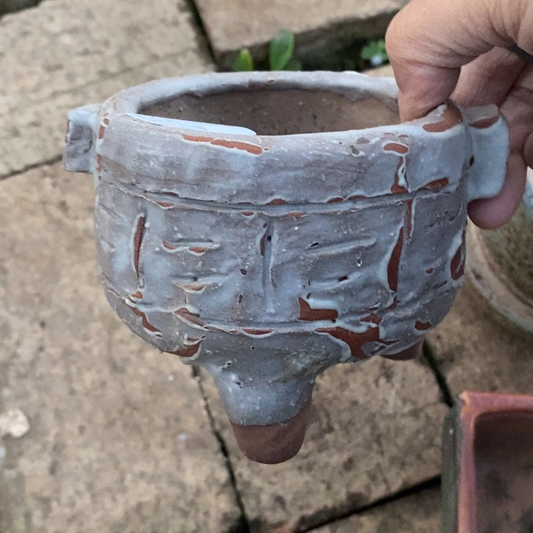 91号多肉盆口径8小可爱