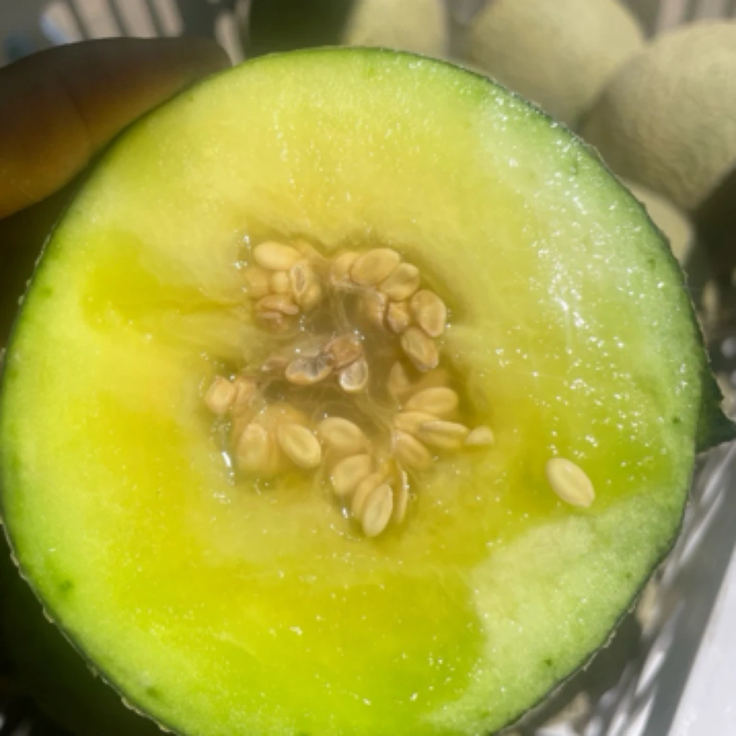 牛三网纹瓜两个满38可送货，没满自提毛重五斤哈密瓜