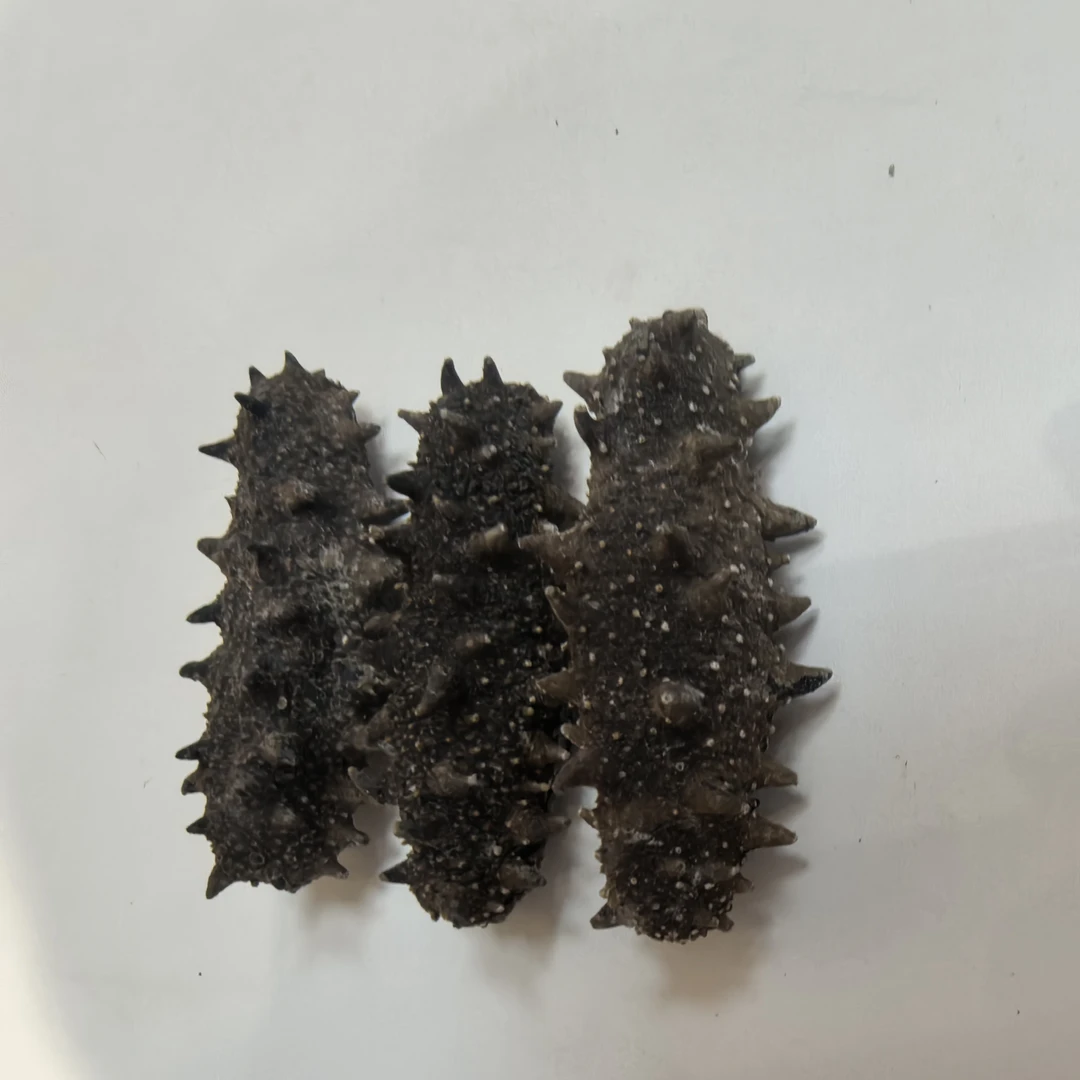 【贾小胖推荐】纯淡干正宗海参辽刺参滋补养生干货130头左右/500g