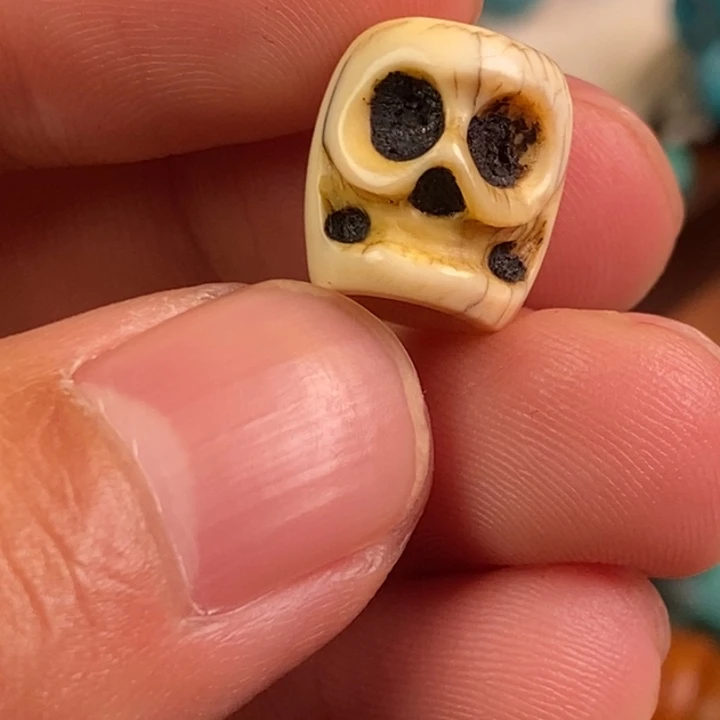 吊坠菩提根/象牙果