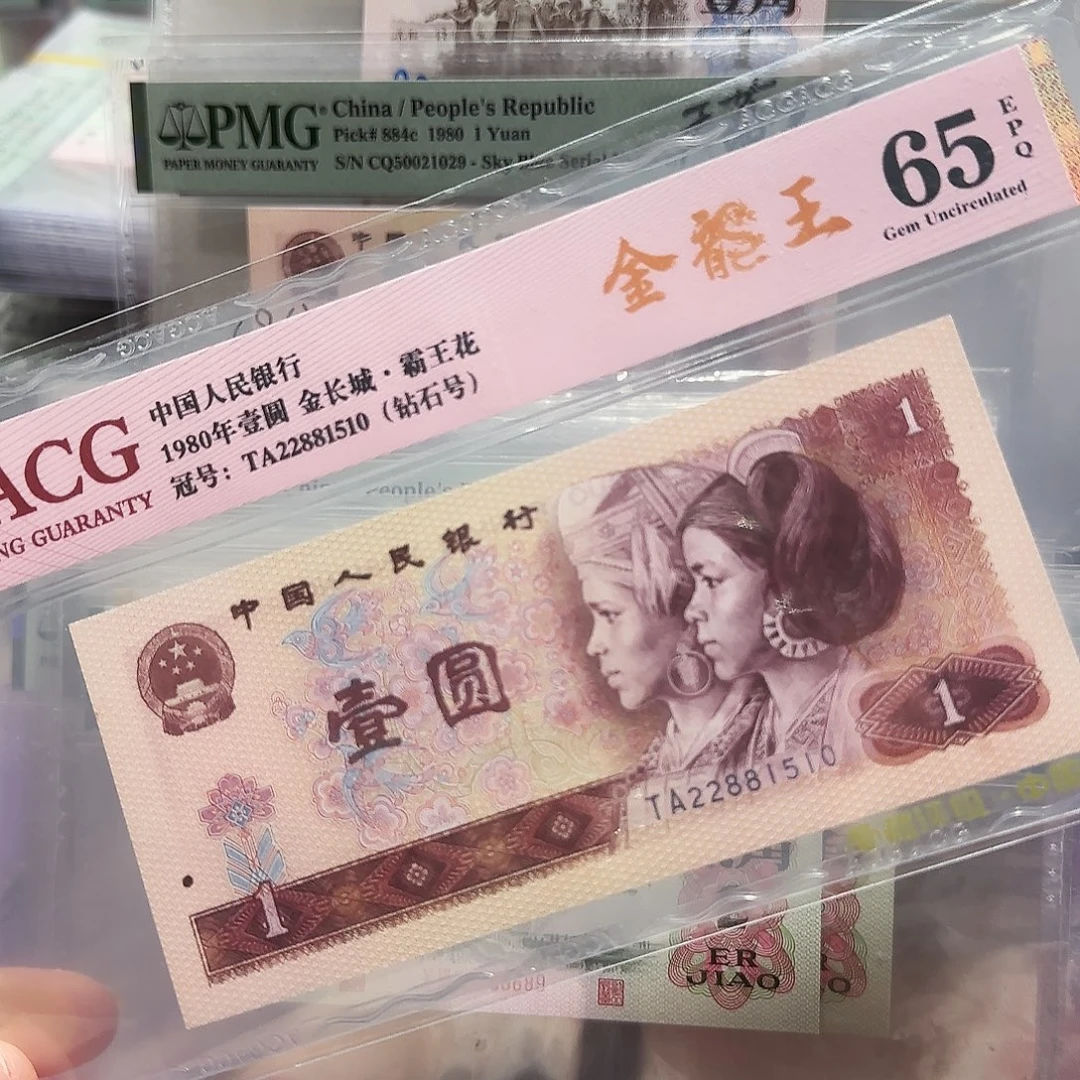 塑料22881510。。。。金龙王