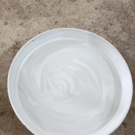 景德镇瓷器研究员55