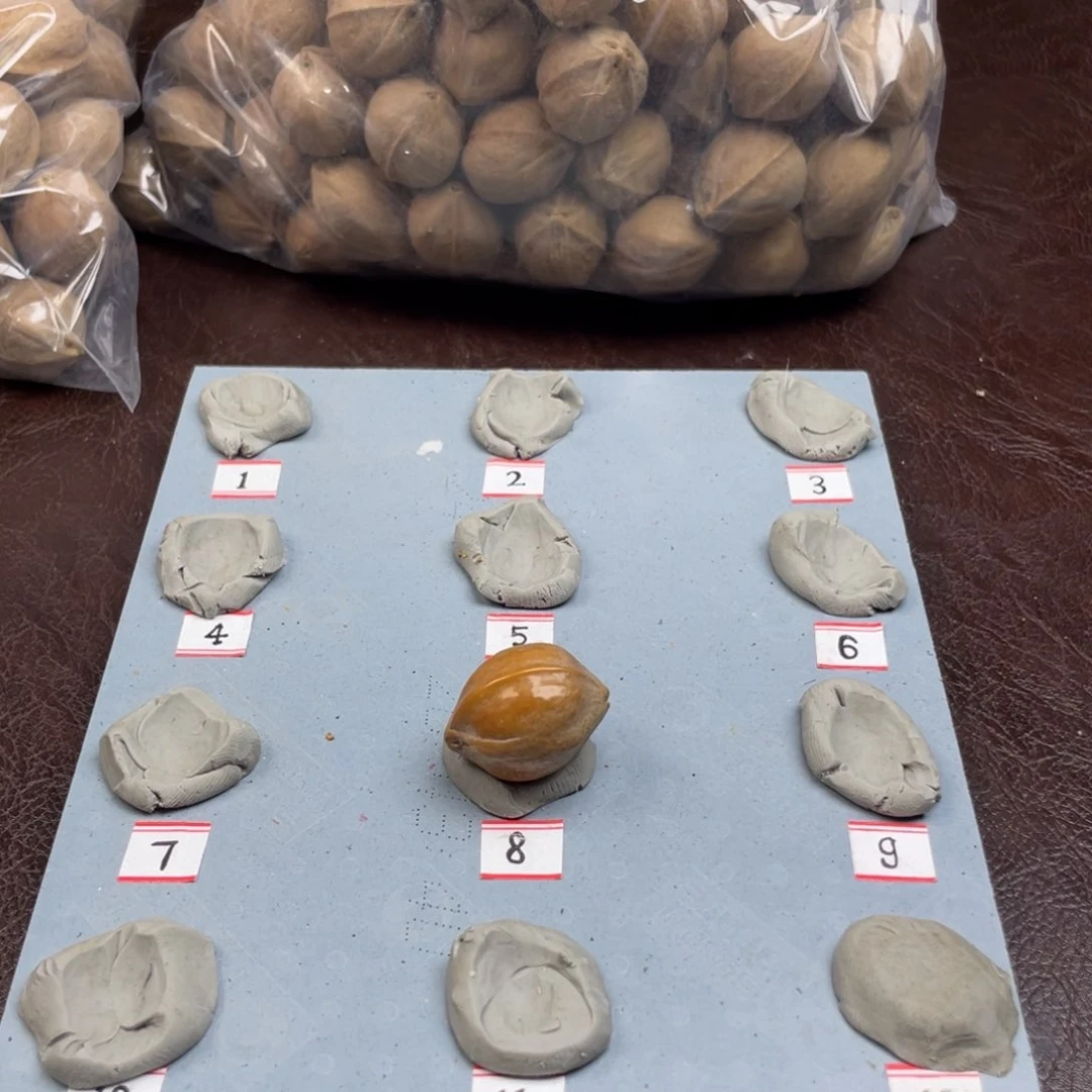手串/手链橄榄核小**722.27梅林铁核