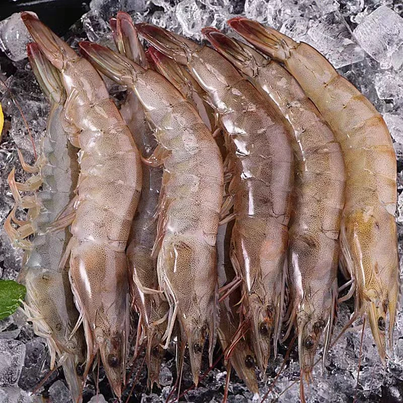 顺丰次日达z【大连发货3斤装正宗盐田虾40头左右/斤】个大新鲜活虾现捕速冻锁鲜发货